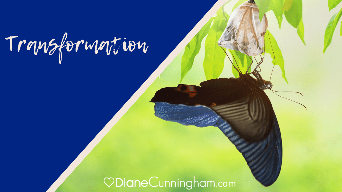 transformation, diane cunningham, butterfly and cocoon