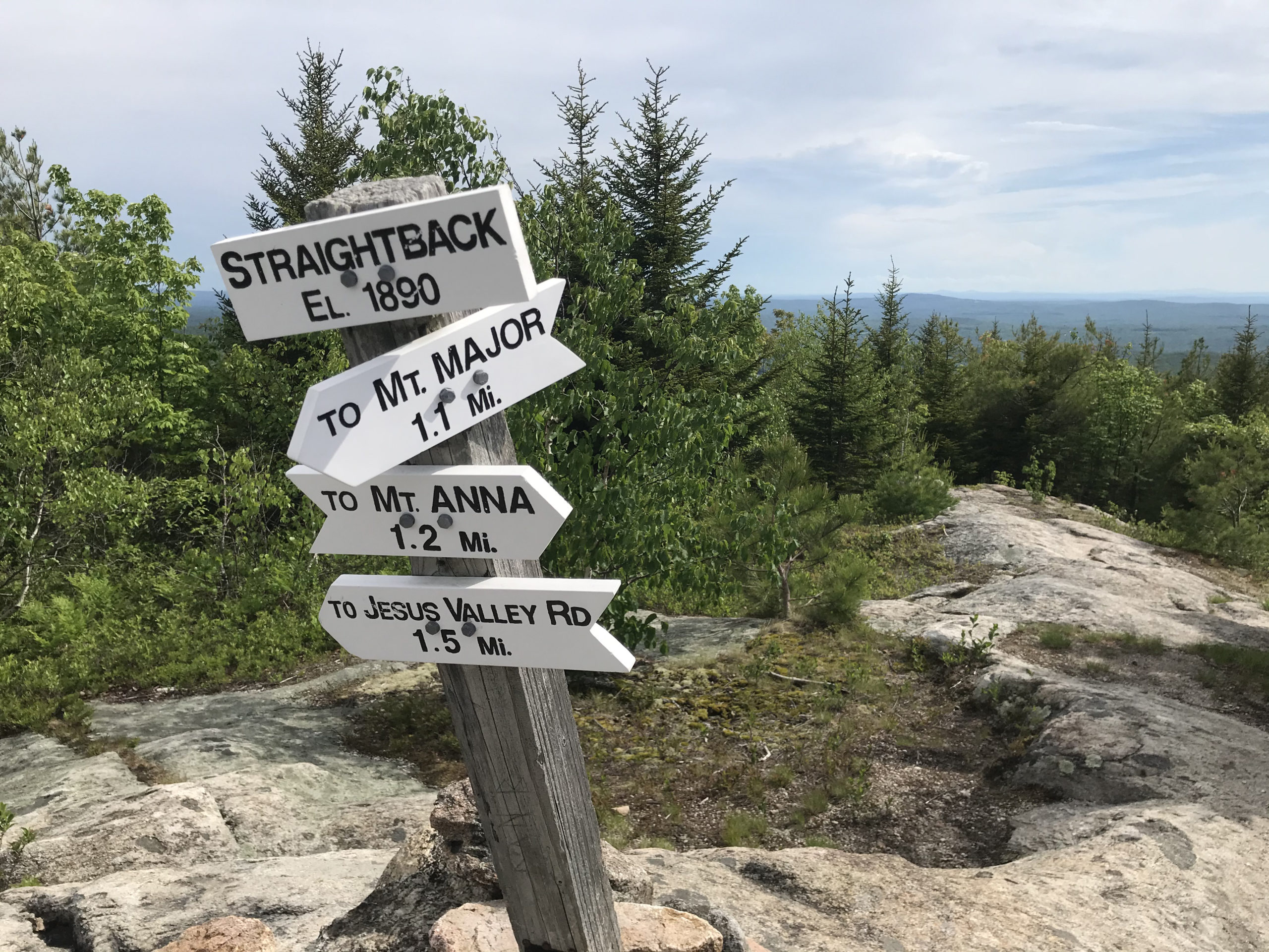 Sign post in the Belknap range.