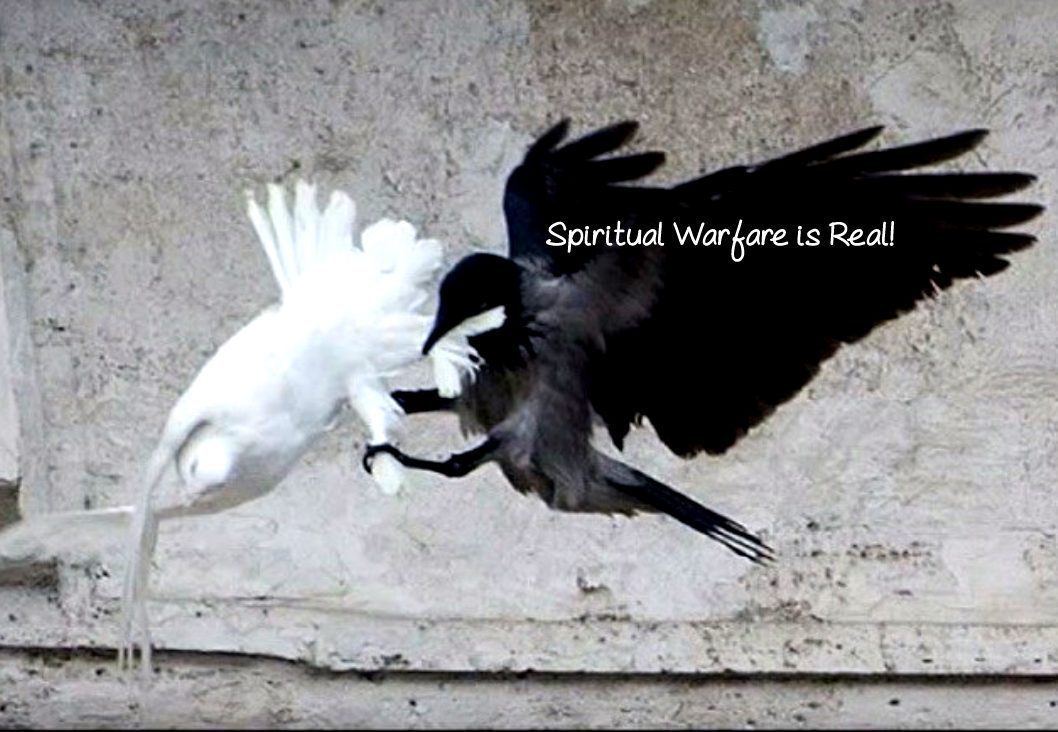 doves and devils