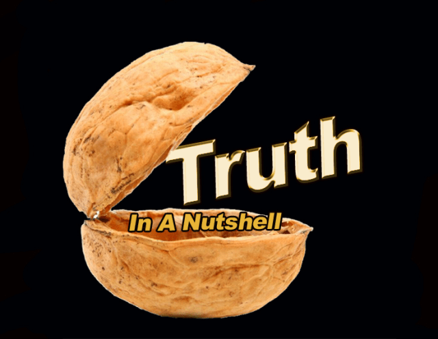 nutshell image-2