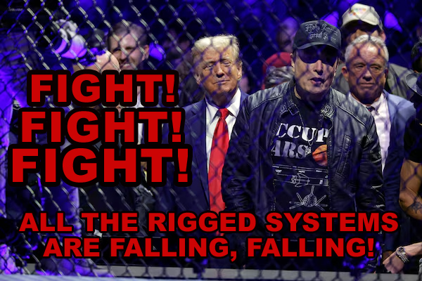 FIGHT RIGGED SYSTEMS