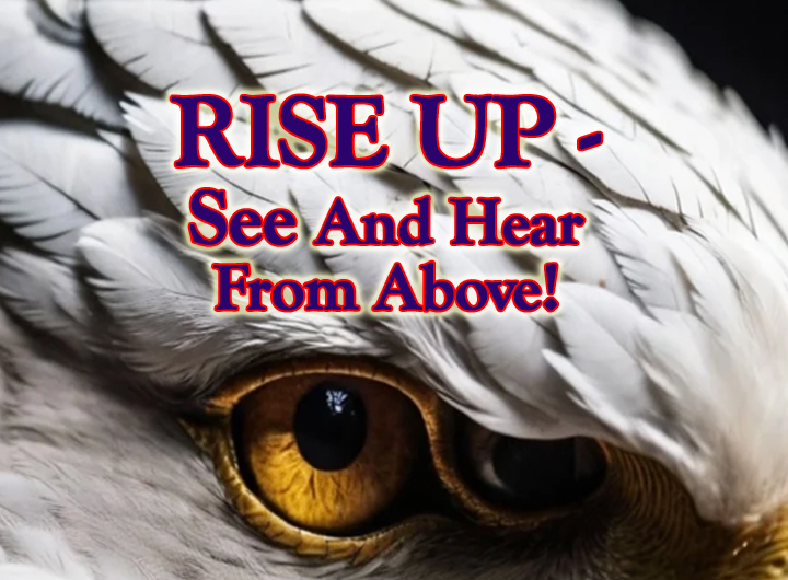 EAGLE RISE UP