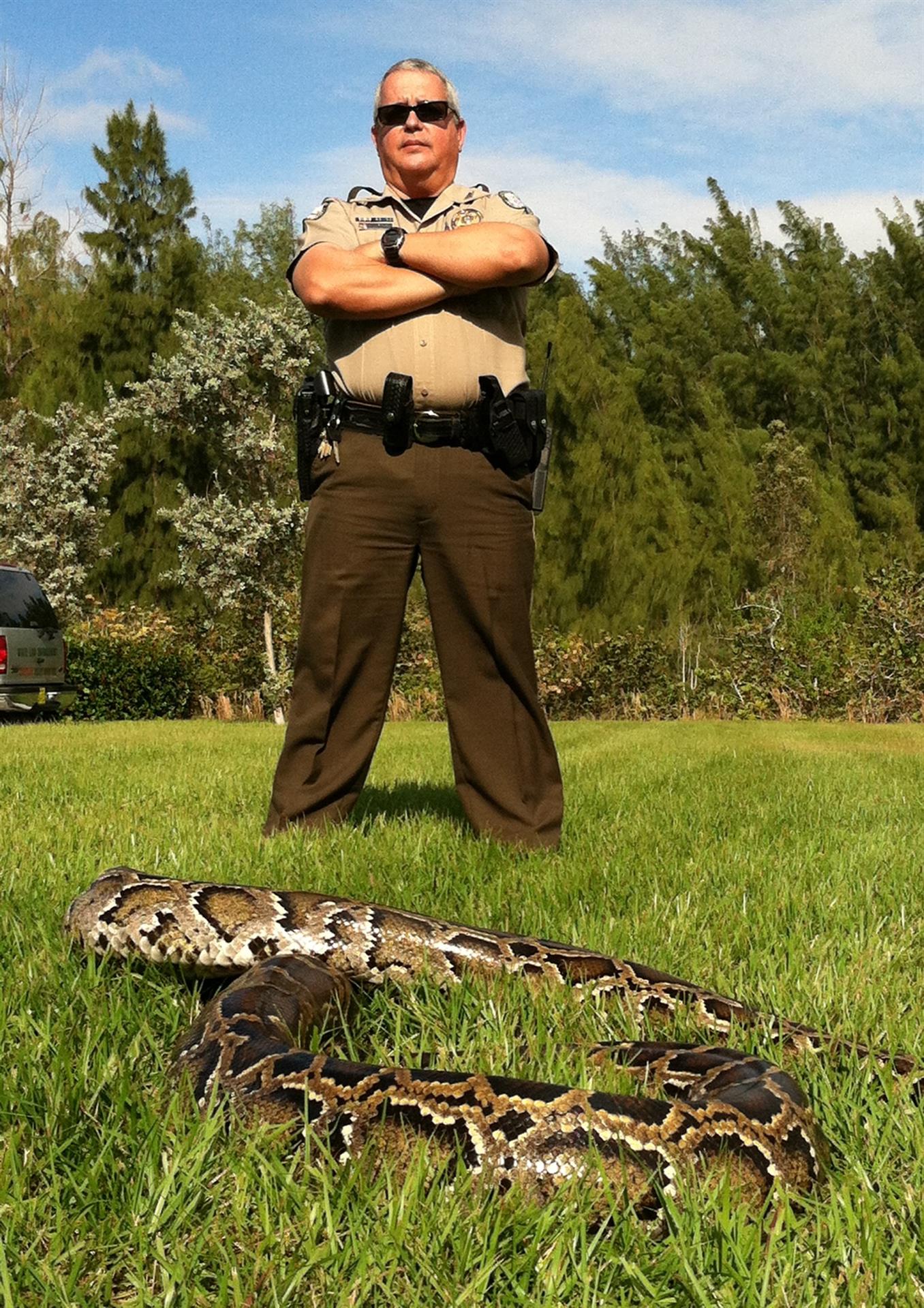 Fotografía cedida por la Comisión de Conservación de Pesca y Vida Silvestre de Florida (FWC, en inglés) que muestra a un policía junto a una enorme serpiente pitón, en Florida (EE.UU.). EFE/ FWC/ SÓLO USO EDITORIAL/SÓLO DISPONIBLE PARA ILUSTRAR LA NOTICIA QUE ACOMPAÑA (CRÉDITO OBLIGATORIO)
