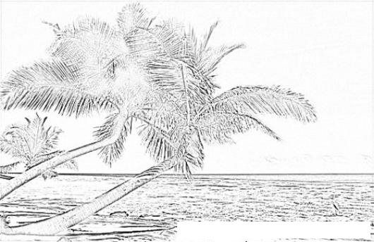 The original format for whitepages was a p. Bahamas Coloring Page Colorear Dibujos De Cholo Bahamas Coloring Page Dibujosa Com