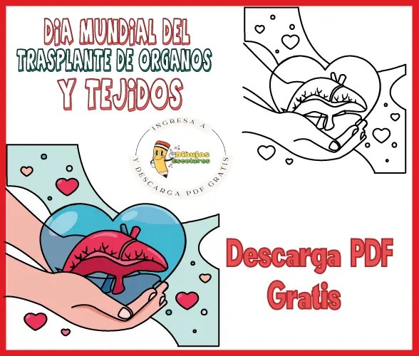 Dibujo del Dia Mundial del Trasplante de Órganos y Tejidos para Colorear.
