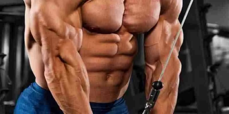Construa braços grandes e fortes sem treinar os braços - Dicas de ...