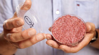 Carne cultivada en un laboratorio de la Universidad de Maastricht (Países Bajos).