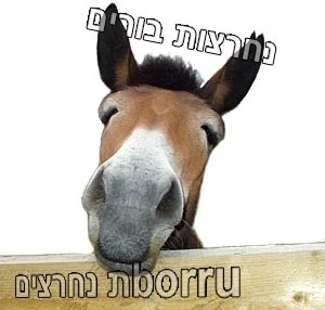 נחרצות הבורים