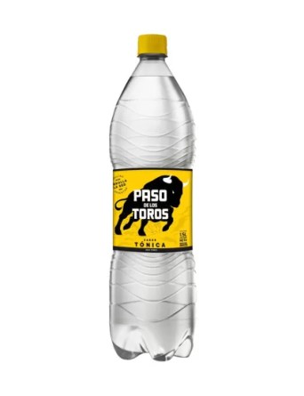 PASO DE LOS TOROS
