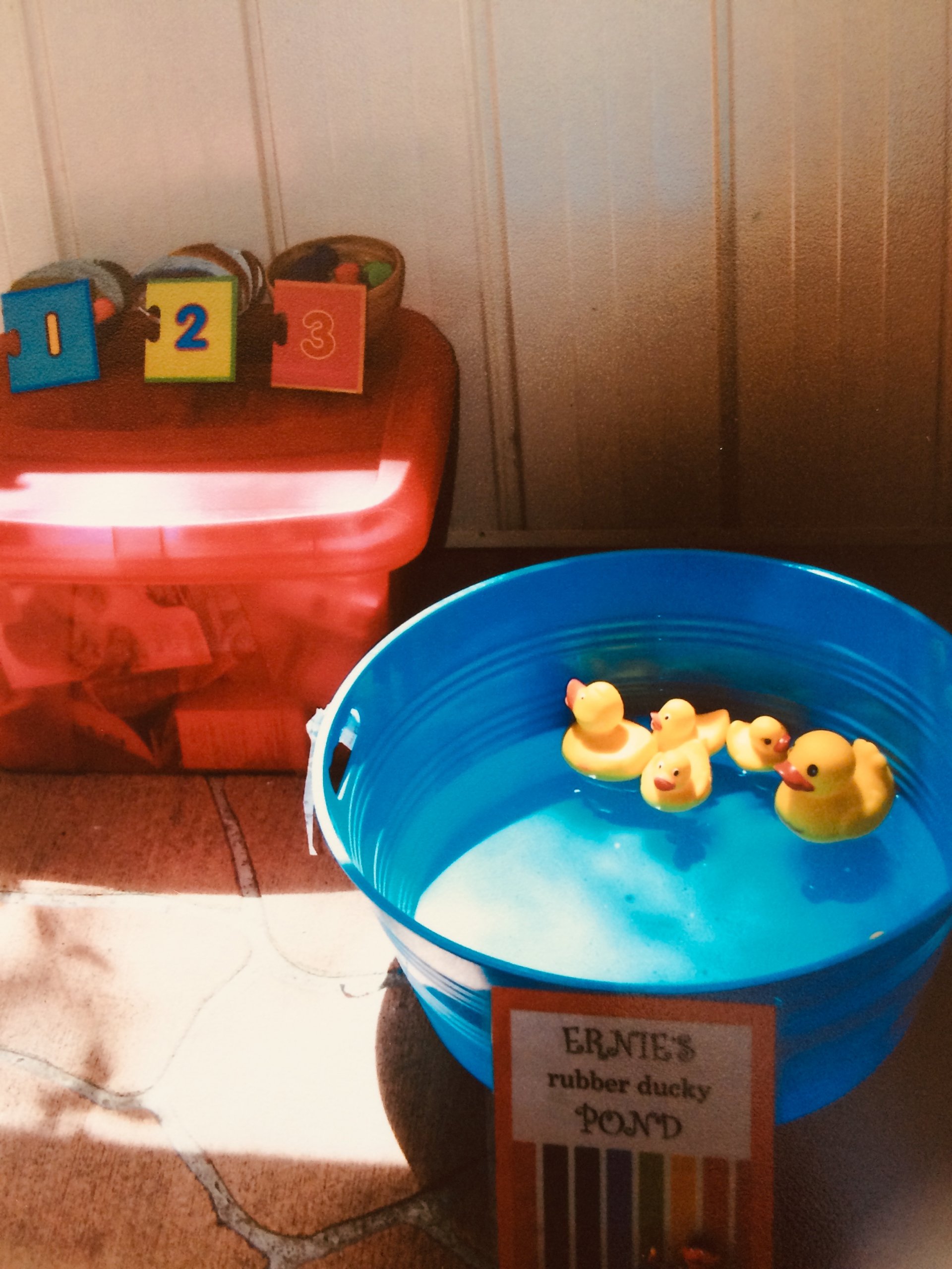 Sesame Street birthday party - Elmo's rubber ducky pond