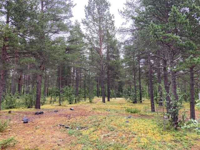 image7