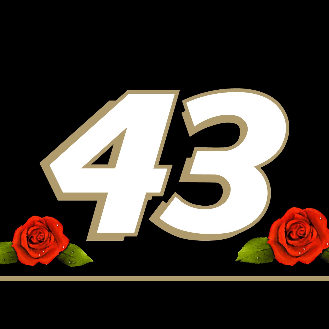 2023 ERIK JONES CUP NUMBER CARDS
