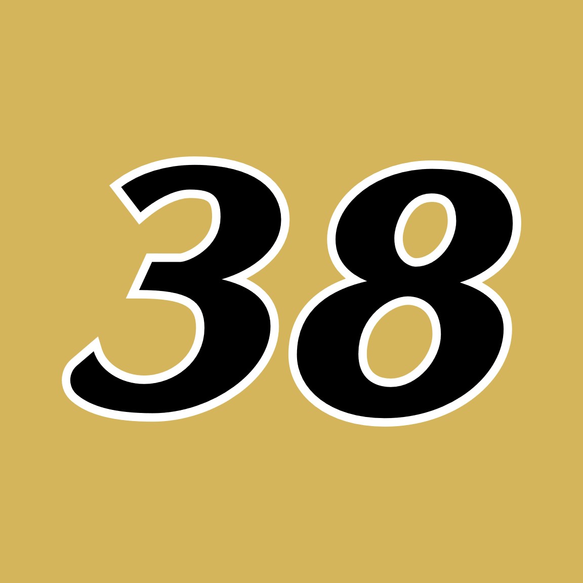 ナンバー38 2023 ZANE SMITH TRUCK NUMBER CARDS