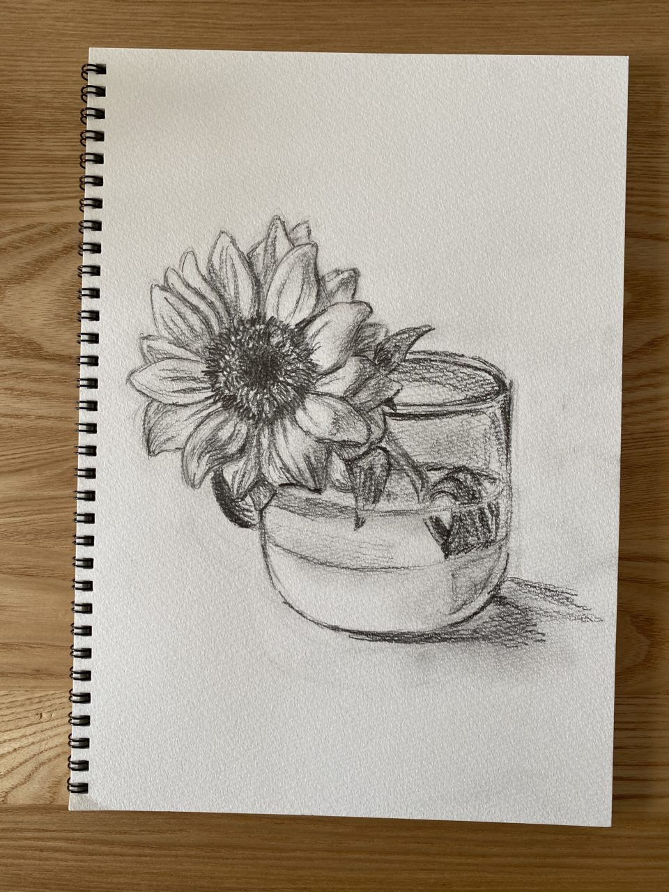 岡山で小学生と一緒に鉛筆デッサン（ヒマワリ） | 地元岡山拠点の非