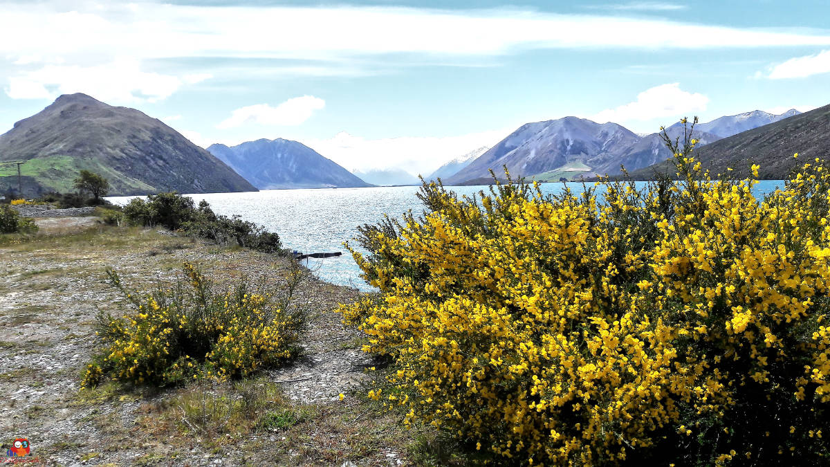 neuseeland