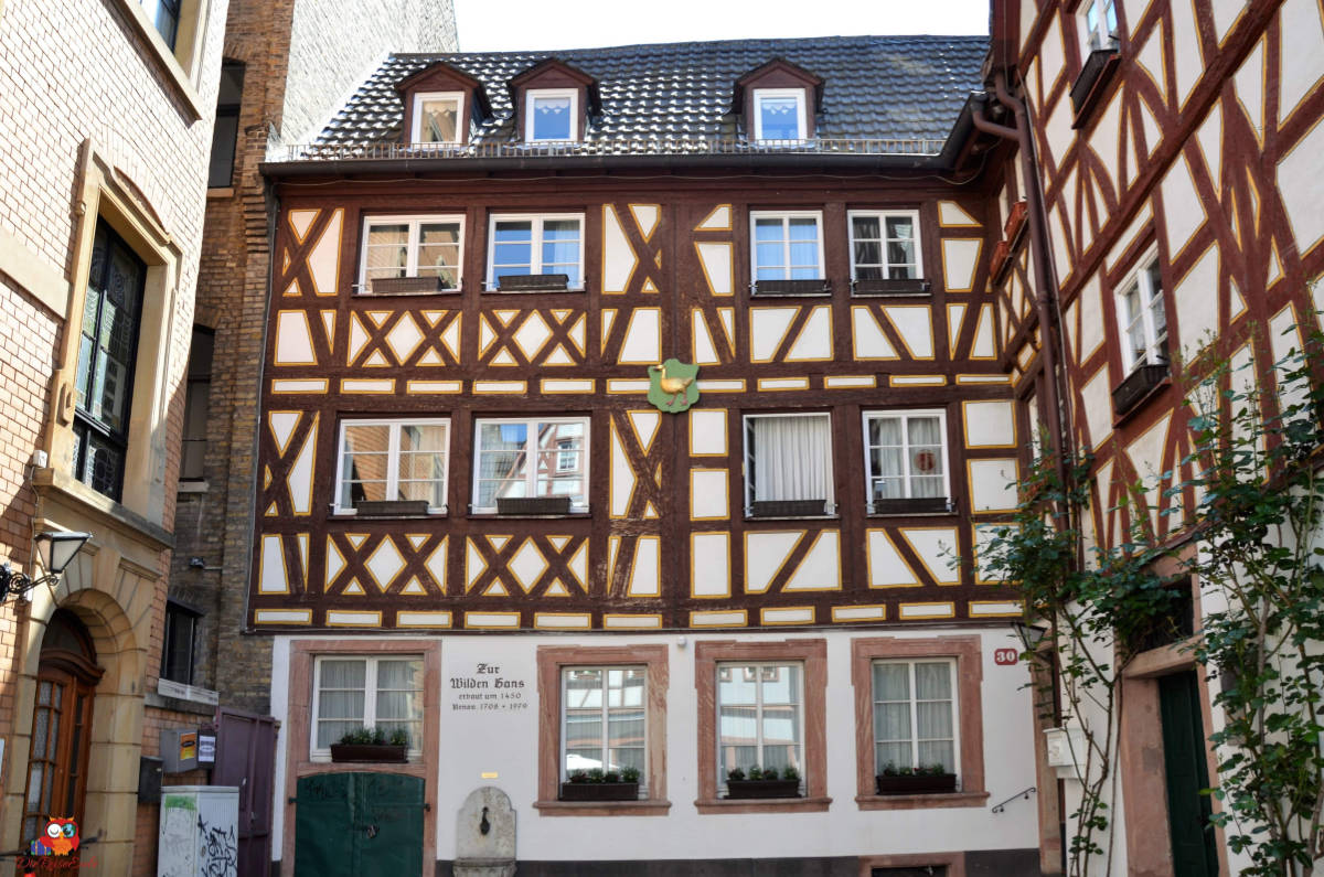 kirschgarten mainz