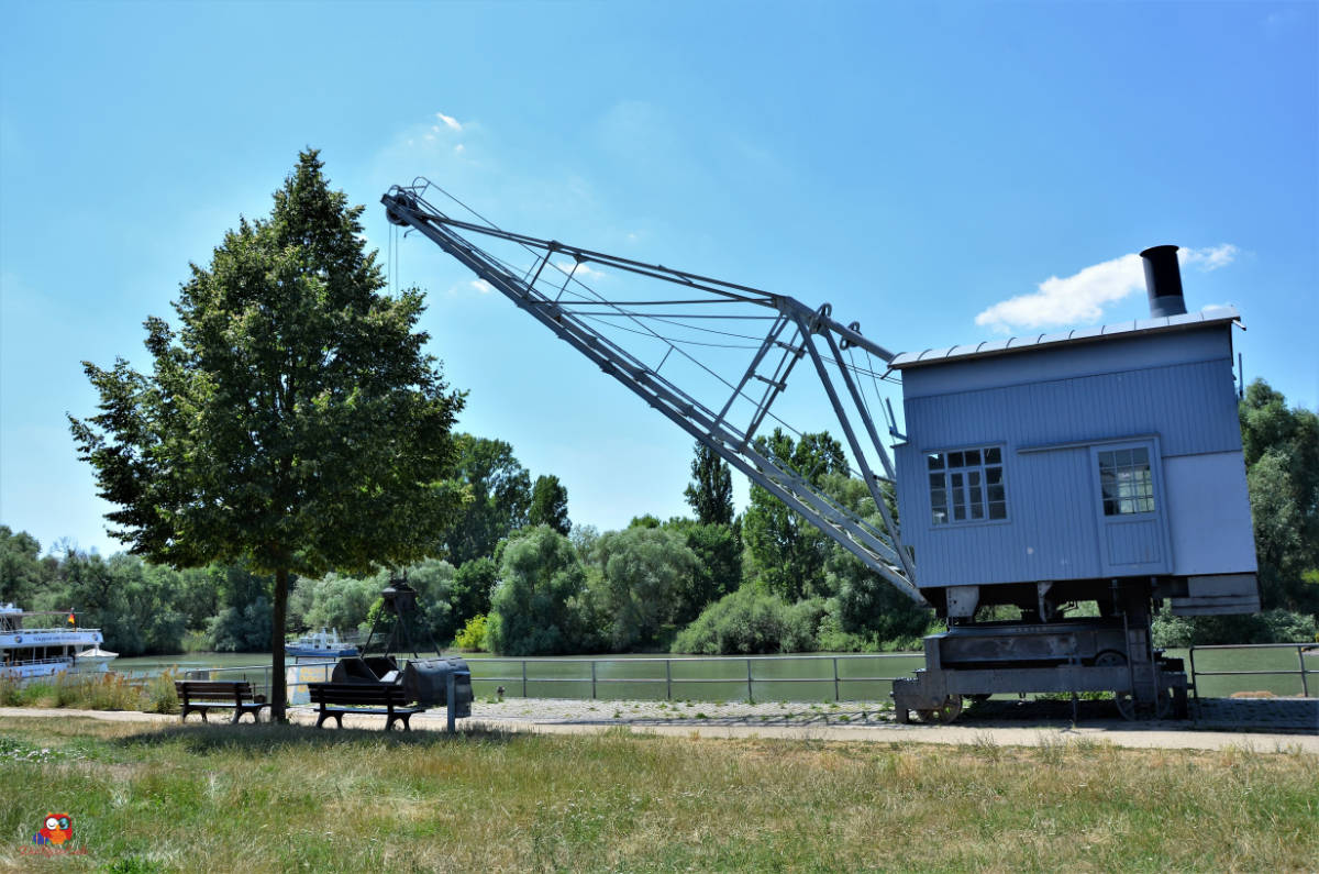 radtour rhein astheim ginsheim mainspitze blauer kran