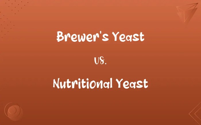 Brewer’s Yeast vs. Nutritional Yeast: Know the Difference Is brewer's yeast and nutritional yeast the same thing