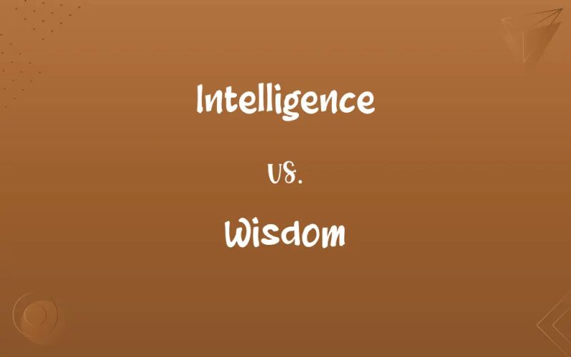 Intelligence Vs Wisdom Free Comparison Essay Example Compare And - Best Gradient Backgrounds in Full HD