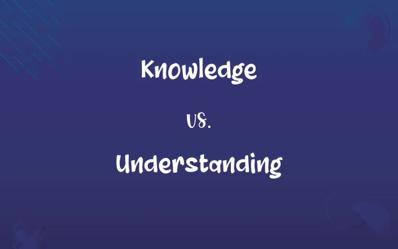 Knowledge Vs Understanding What S The Difference - Premium Colorful Design Gallery - Desktop