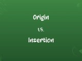 Origin Vs Insertion Know The Difference