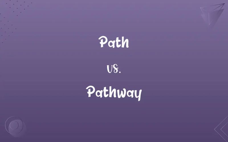 Path Vs Pathway What S The Difference This Vs That - Colorful Art Collection - Mobile Quality