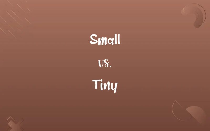 Small Vs Tiny What S The Difference This Vs That - Gorgeous 4K Light Pictures | Free Download