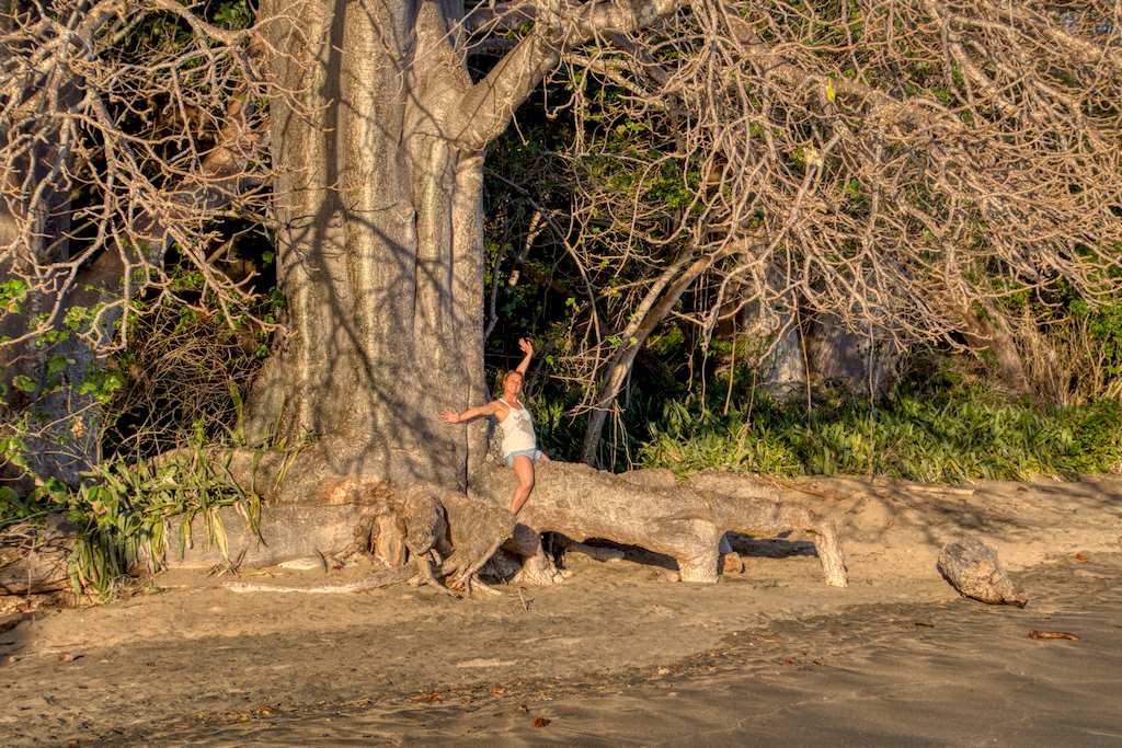 Hélène sur un baobab lors d'un séjour où elle à été plonger à Mayotte