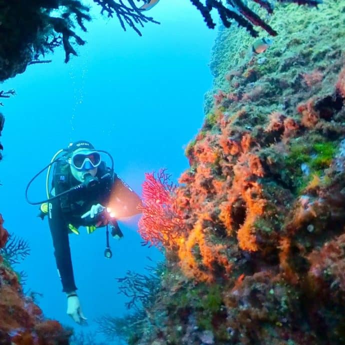 Hélène Adam se film à dans la Méditerranée au large de Cala Joncols