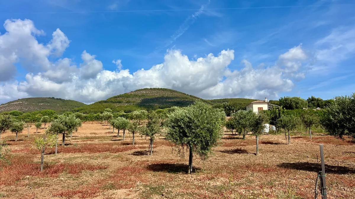 Les environs de Capo Galera