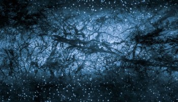 Credit: Shutterstock