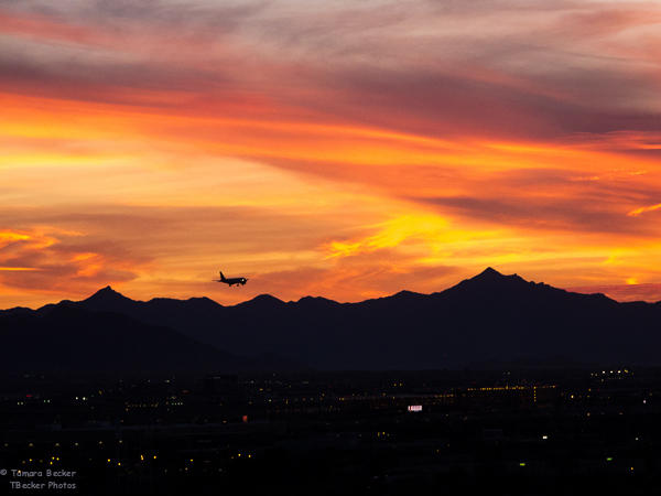 Phoenix Sunset