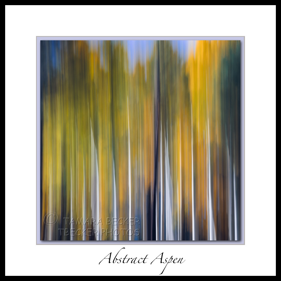 Abstract Aspens