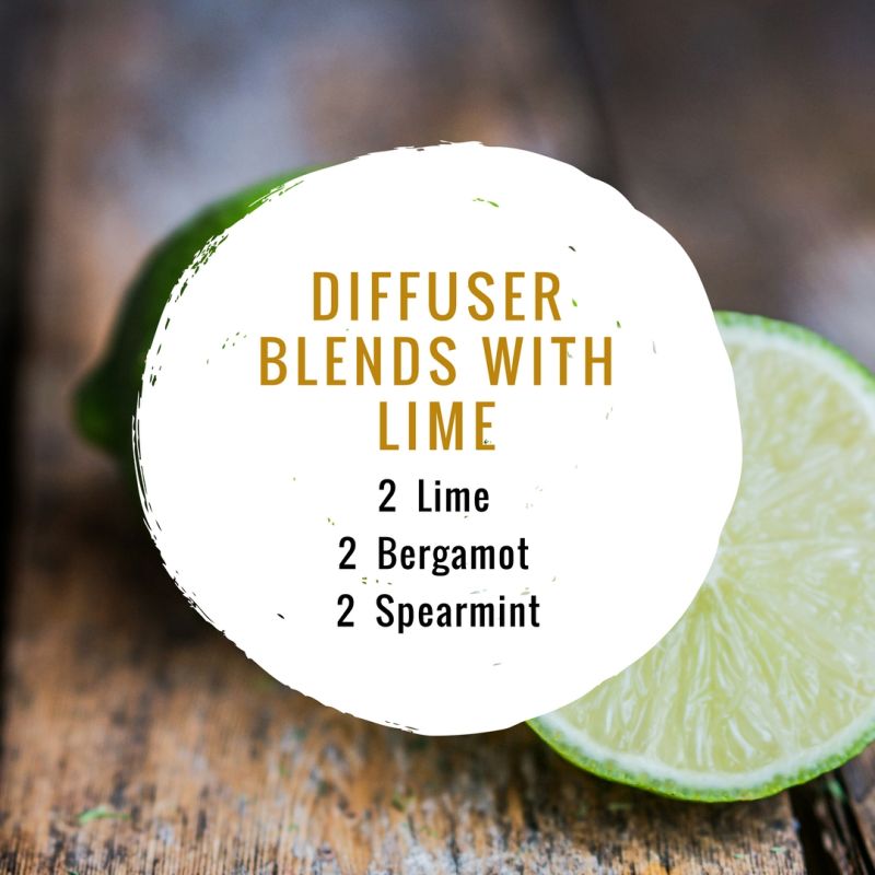 Diffuser Blends Lime Essential Oil Artofit - Download Premium City Background | Full HD