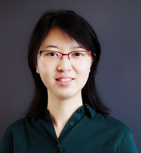 Shuli Wang Github - Mobile Light Patterns for Desktop