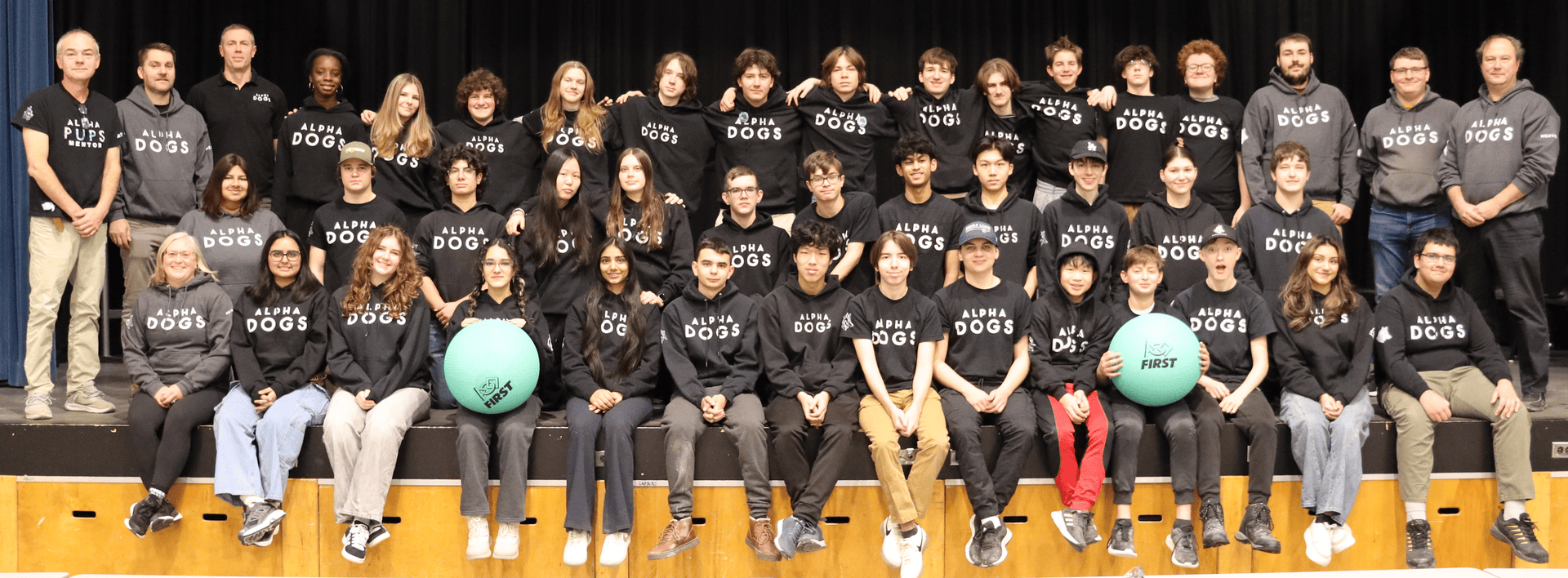A large group of people, mostly teenagers, are posing on bleachers. They are wearing matching black hoodies with Alpha Dogs printed on them. Two adults stand on each end. This team, advocating for Ontario mental health awareness, proudly displays two large green balls in front.