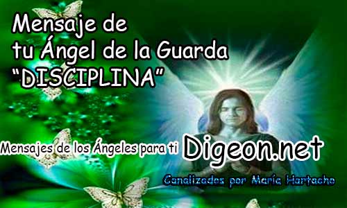 MENSAJE DE TU ÁNGEL DE LA GUARDA - DISCIPLINA