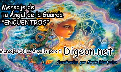 Digeon