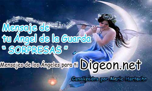 Digeon