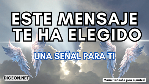 MENSAJES DE LOS ÁNGELES PARA TI DIGEON 22/11/2023 - Digeon - ARCÁNGEL MIGUEL: ESTE MENSAJE TE HA ELEGIDO AQUÍ Y AHORA.