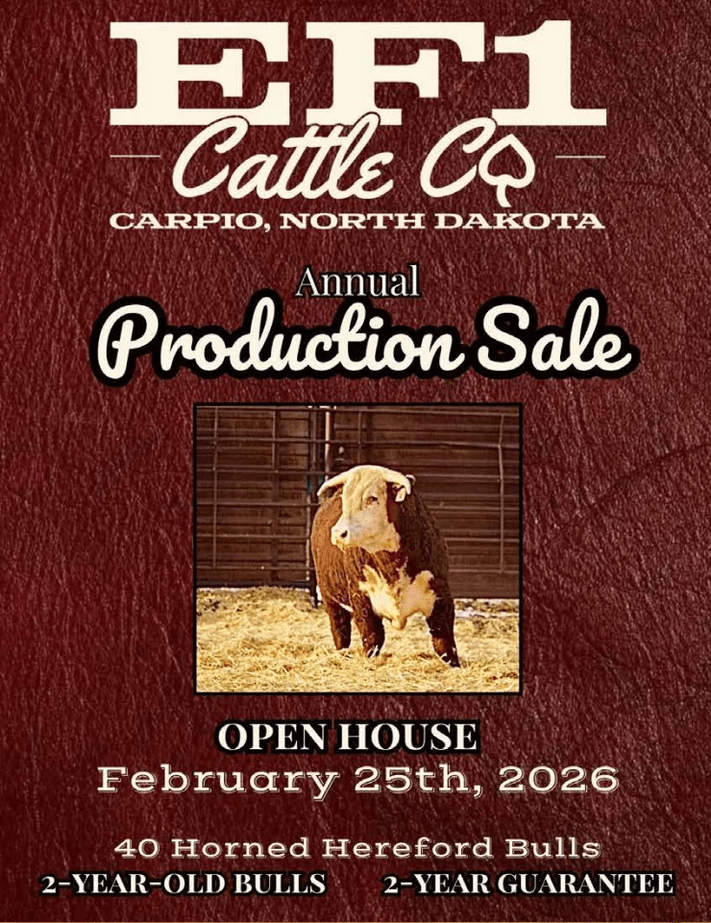 Travis Engelhard of EF1 Cattle Co