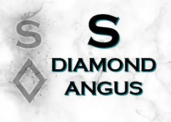 Kim Siebert of S Diamond Angus