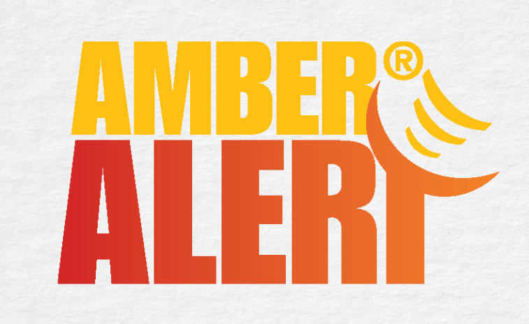 The AMBER ALERT System