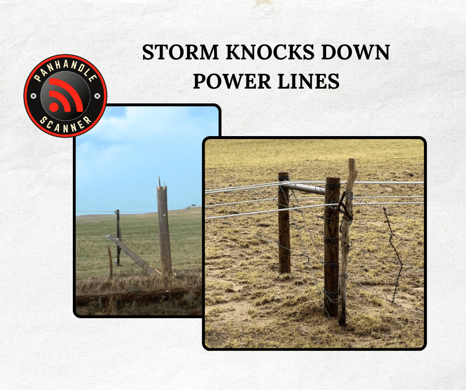 Storm Knocks Down Power Lines