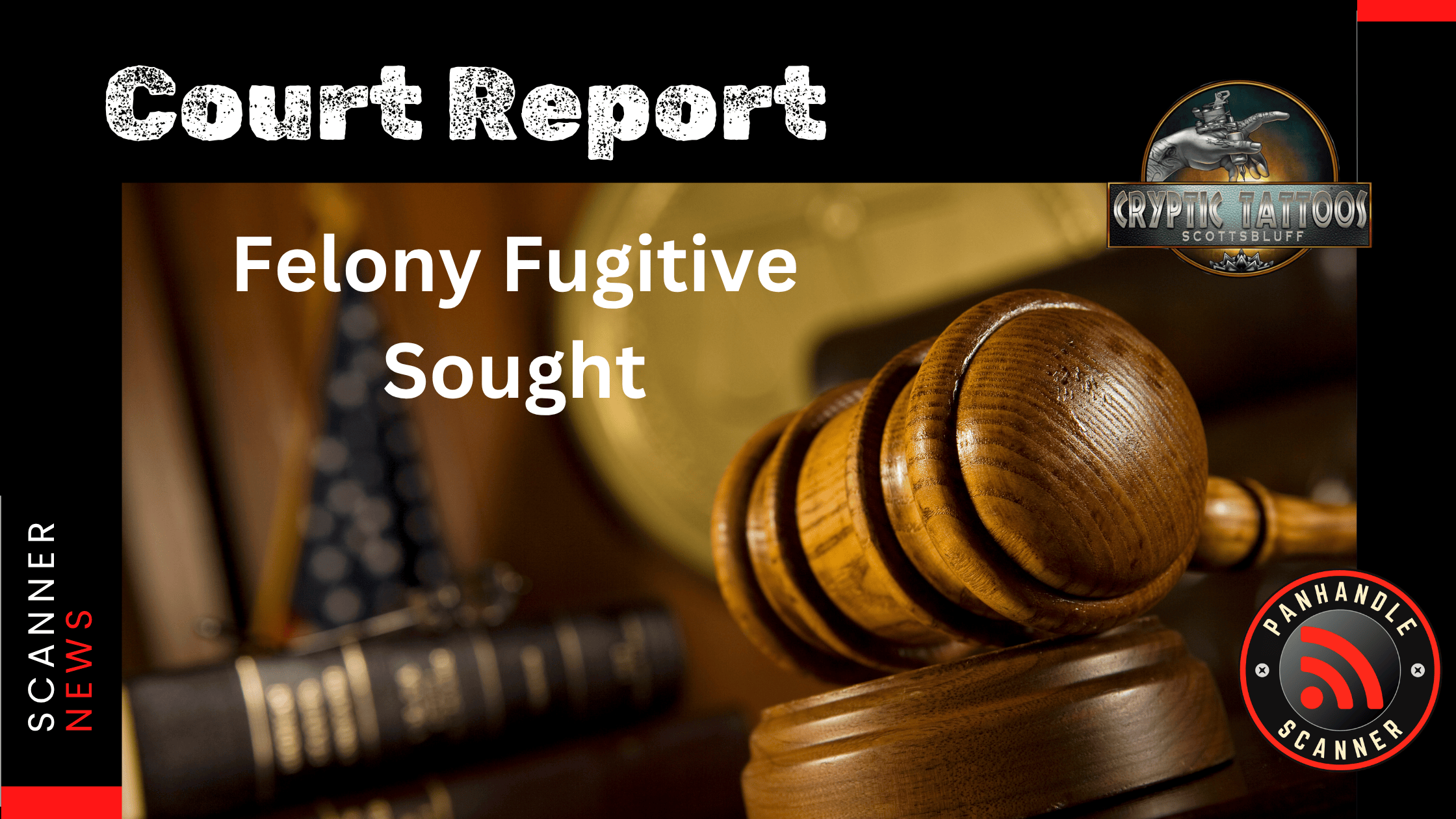 Felony Fugitive Sought