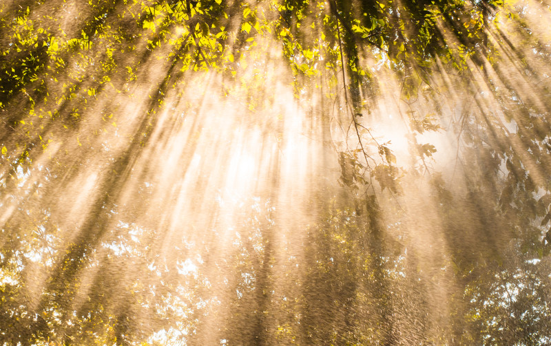 God rains down showers of blessings on those He created.