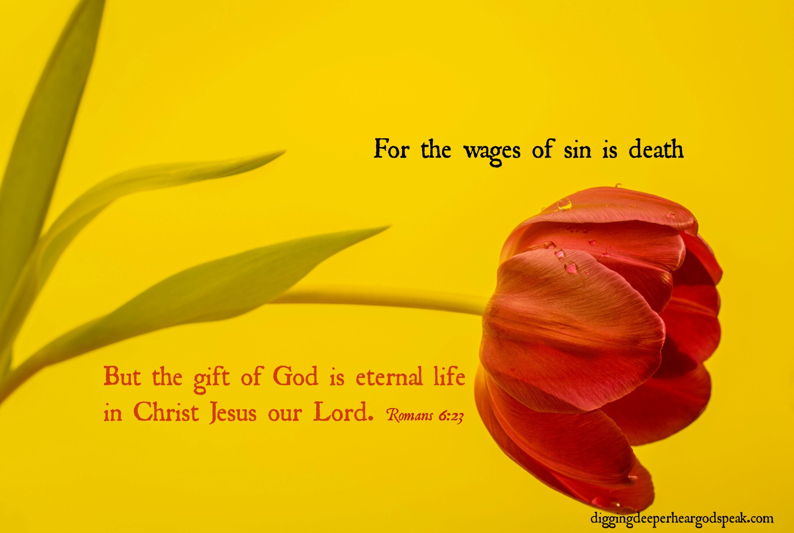 God's Plan of Salvation explains why Christ's death was necessary.