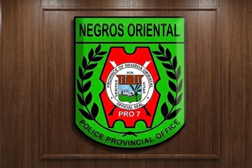 New NegOr police director, 6 chiefs assume posts