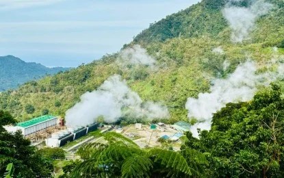 NegOr biz group bats for long-term solutions to power woes
