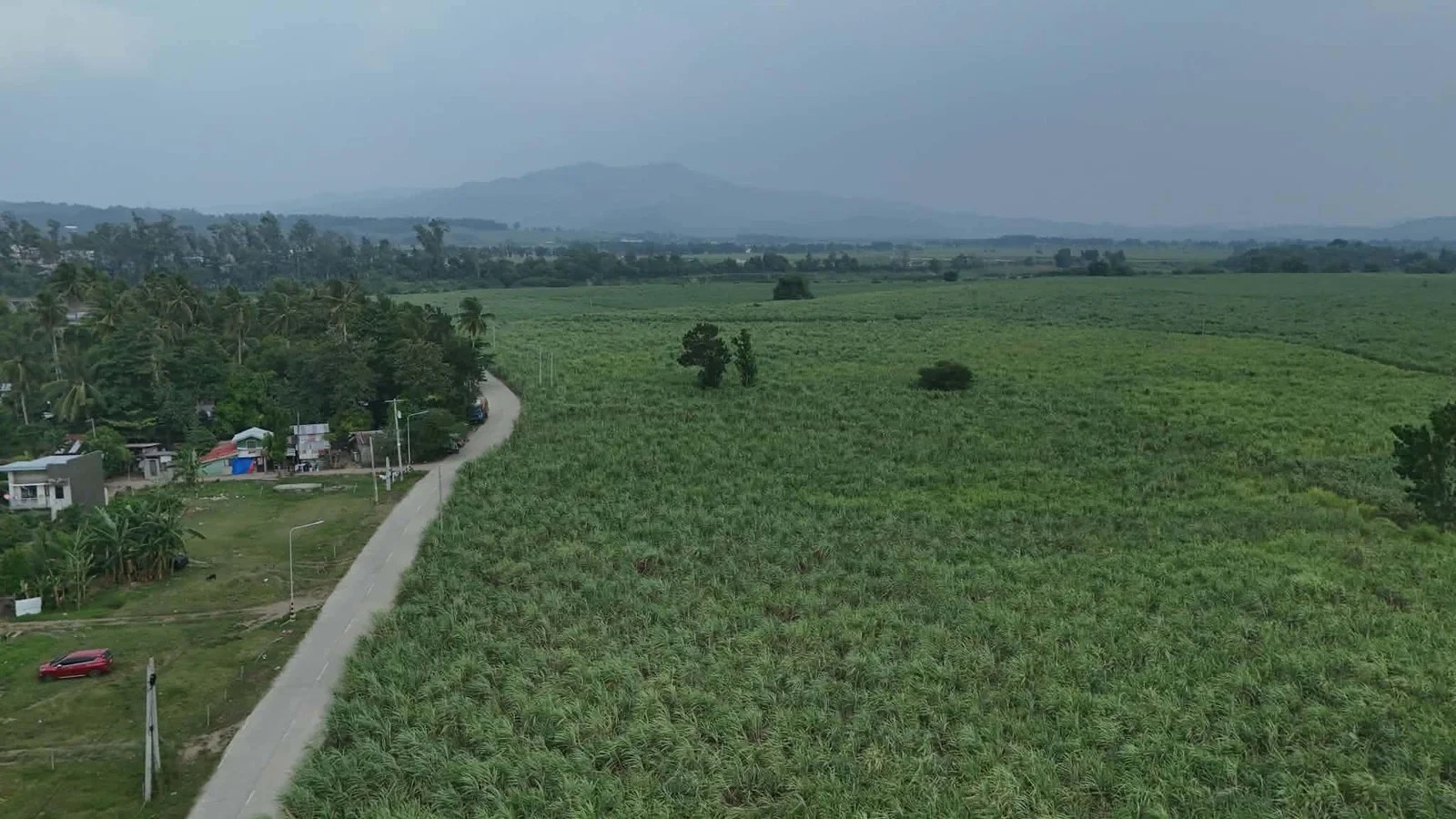 Mild haze from Indonesian forest fires reaches Negros, ‘very unhealthy’ air quality in La Castellana